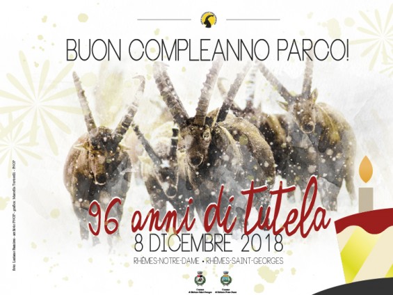 INVITO_BUON_COMPLEANNO_PNGP_96_02