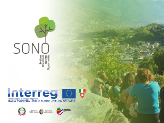 passeggiata-enogastronomica