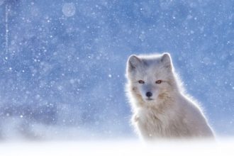 1-Samuele-Parentella