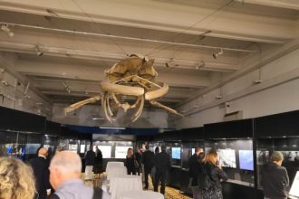 IMG_20191025_193034_RED