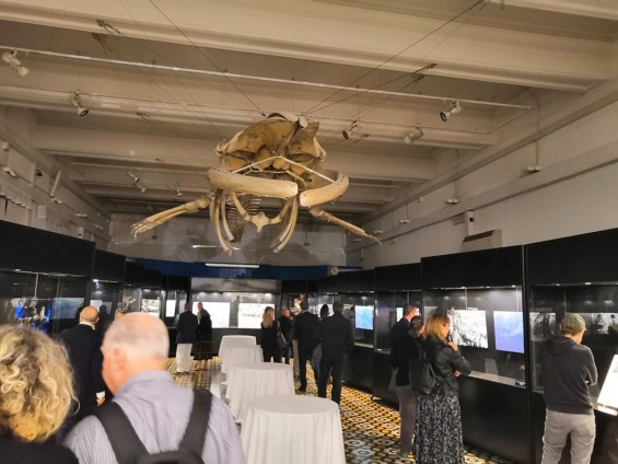 IMG_20191025_193034_RED