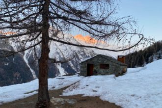 storie del carré natura parco nazionale gran paradiso video wildlife valsavarenche