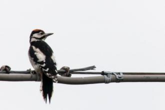 Foto di fabribertho (Instagram)