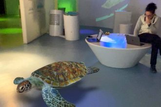 Animali 3D nei centri visitatori del Parco Nazionale Gran Paradiso