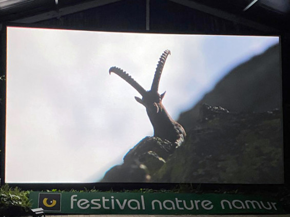 Il Gran Paradiso alla cerimonia di premiazione del FINN