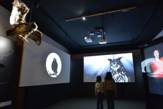 Centro visitatori Parco Nazionale del Gran Paradiso - postazione gufo