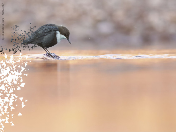 proposta_immagine_DEF_web_didascalia