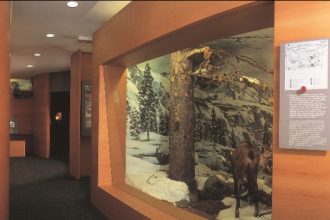 CV Valsavarenche - interno 1 - Foto Archivio FGP