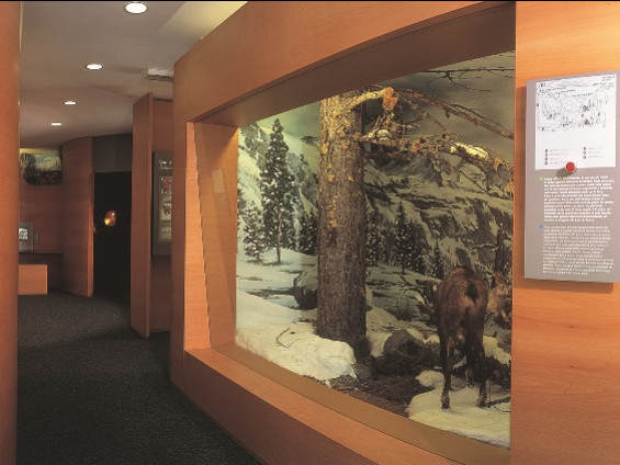 CV Valsavarenche - interno 1 - Foto Archivio FGP