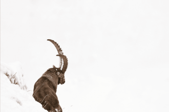 Foto di Giorgio Marcoaldi