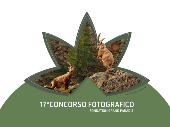 Concorso-fotografico_In-Equilibrio_DEF_sito