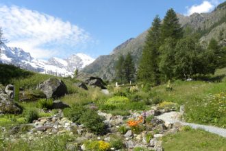 Giardino botanico alpino Paradisia