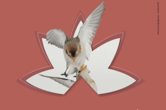 Concorso fotografico