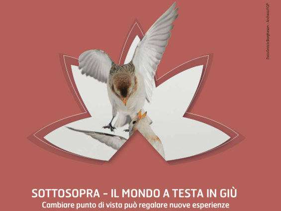 Concorso fotografico