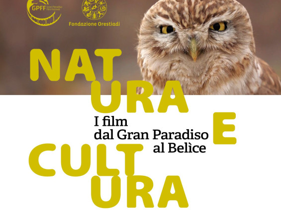 FondazioneOrestiadi_I film dal GP al Belice_locandina