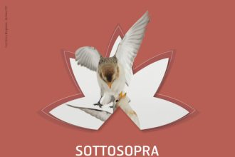 2024-01-29_Concorso-fotografico_Sottosopra_POST_1920x1080