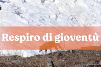 2024-02-18_Canale5_ArcadiNoe_RespirationJeunesse