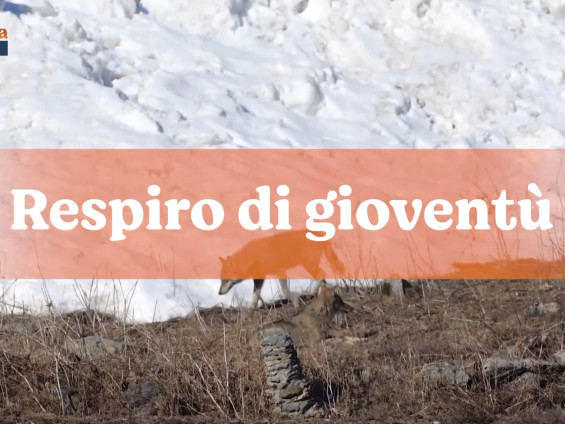 2024-02-18_Canale5_ArcadiNoe_RespirationJeunesse