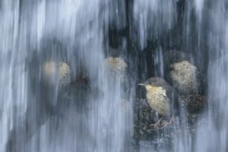 Lo squarcio - Fabrizio Stefani