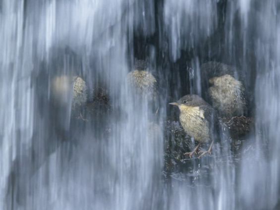 Lo squarcio - Fabrizio Stefani