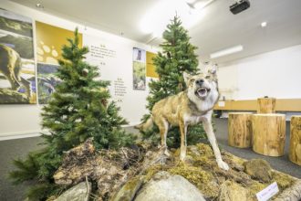 CV Valsavarenche - Marco Monticone 2