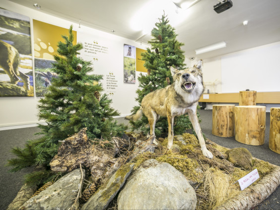 CV Valsavarenche - Marco Monticone 2