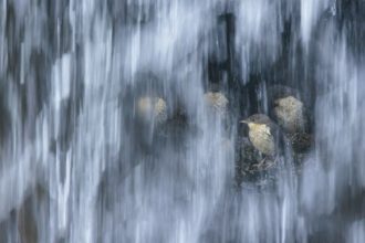 1_Lo squarcio - Fabrizio Stefani