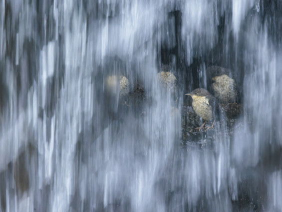 1_Lo squarcio - Fabrizio Stefani