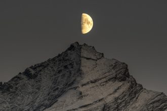 Autore: Enzo Massa Micon - Archivio FGP