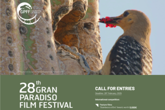 Call for entries 2025_post_agg