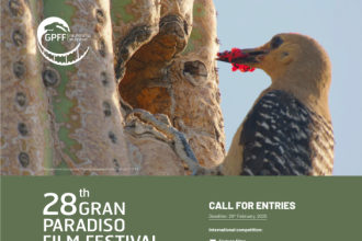 Call-for-entries_2025_post_v2