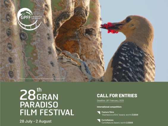 Call-for-entries_2025_post_v2