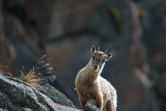 H62A8110_page-0001 (1)