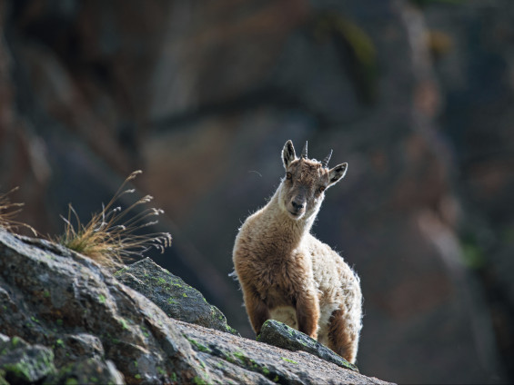 H62A8110_page-0001 (1)