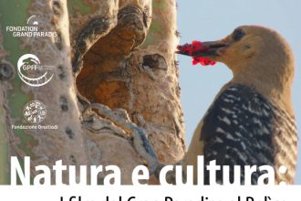 locandina GPFF nel B (1)