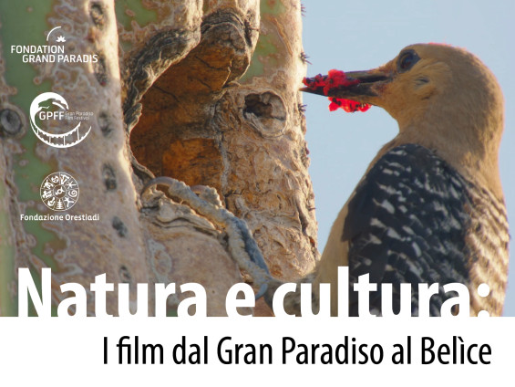 locandina GPFF nel B (1)