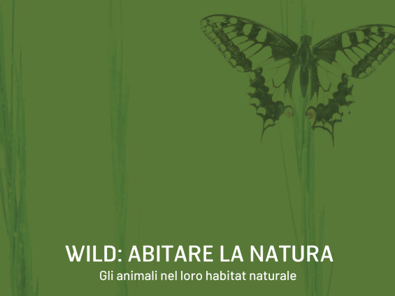 2025-07-30_Concorso-fotografico_Wild