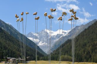 390_DonatoSavin_phPaoloRey_