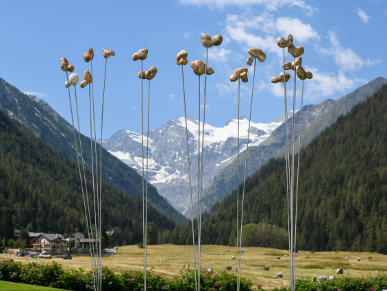 390_DonatoSavin_phPaoloRey_