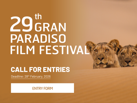 Call-for-entries_2026_banner