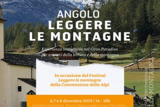 WhatsApp Image 2025-12-05 at 16