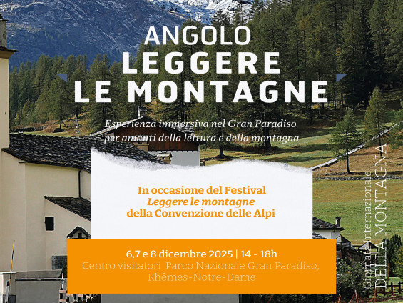 WhatsApp Image 2025-12-05 at 16