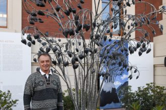 116AlberoCuoriCAS_phPaoloRey