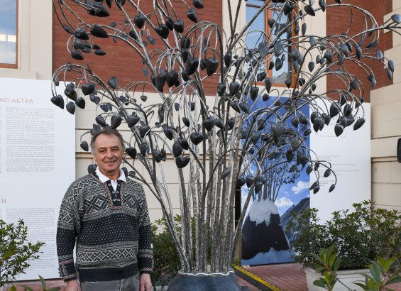 116AlberoCuoriCAS_phPaoloRey