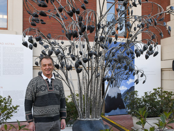 116AlberoCuoriCAS_phPaoloRey